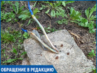 "Из-под земли торчат электропровода, рядом гуляют дети", - житель Ставрополя