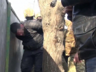  Крупную партию запрещенных лекарств и оружие нашли у группировки на Ставрополье