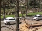  Огромное иссохшее дерево упало на машину в Пятигорске — пострадала женщина
