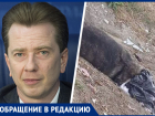 «Жесткость в Георгиевске должна прекратиться»: ставропольцы пожаловались депутату Госдумы на массовую травлю собак  