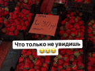 30 рублей за пробу 1 штуки: клубника экстра-класса замечена в Ставрополе