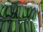 Огурцы снова в ударе: как менялись цены на продукты в Ставропольском крае за неделю