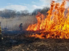 Камыш на площади 5 гектаров горит в Ставрополе: видео