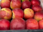 Яблочный сговор: урожай на Ставрополье упал, а цены на фрукт взлетели 