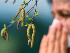 Ставропольские аллергики напряглись: начинается цветение пыльцевых растений