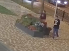 Вандалы вырвали цветы из новых вазонов в центре Ставрополя и попали на видео