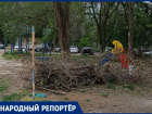 Заваленная сухостоем детская площадка ужаснула родителей на Ставрополье