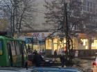 Рухнувшее дерево повисло на проводах над дорогой и попало на видео в Ставрополе 