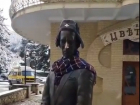 «Теперь Киса не замерзнет»: Воробьянинова одели в шапку и шарф в Пятигорске