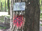 Отметки на деревьях в Дубовой роще обнаружили жители Ставрополя