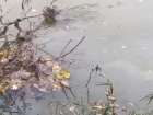 Зловонный слив в реку Кума на Ставрополье заметили очевидцы 
