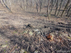 Поломанные деревья и следы от авто обнаружил общественник в заказнике в Железноводске