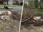 Житель Ставрополя нашел еще одну несанкционированную свалку в Октябрьском районе