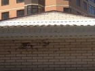 Рой пчел атаковал ЖК "Шоколад" в центре Ставрополя и попал на видео 