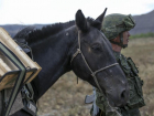 В ставропольском параде Победы впервые примут участие лошади