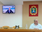 Кошки и собаки смогут вскоре заменить представителей власти на Ставрополье