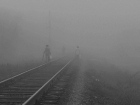 Туман и холодный день ожидают ставропольцев в среду 3 января 