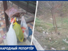 «Убирать надо вовремя»: грязь на остановке в Ставрополе раздражает местных жителей