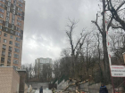 Сильный ветер снова проверяет Ставрополь на прочность