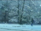 Катающийся на хаски по улицам города ставрополец попал на видео