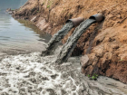 Питающие Сенгилеевское водохранилище реки на Ставрополье загрязнены фосфатами, нитритами и марганцем