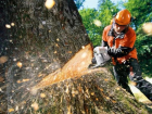 «Зеленый щит» не смог спасти лесополосу в Ставрополе