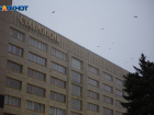 Из-за очень сильного ветра на Ставрополье объявлено штормовое предупреждение на 27 и 28 декабря