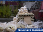 Цены выше московских? Минэк Ставрополья отреагировал на жалобы по прайсу на яйца