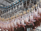 Двум ставропольским компаниям разрешили поставлять мясо в ОАЭ