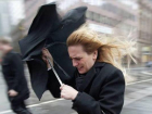 Штормовое предупреждение из-за усиления ветра объявлено на Ставрополье