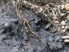 Администрация Промышленного района Ставрополя «не обнаружила» слив черной жижи в реку Грушевую