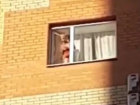 Видео со стоявшим в открытом окне многоэтажки ребенком шокировало ставропольцев