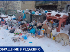 Горы мусора накопились во дворе в Ставрополе