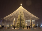 Мэрия Ставрополя готова потратить 49,5 миллиона рублей на новогоднюю елку