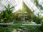В Ставрополе на выходных будет открыт Ботанический сад