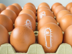 Более 7,5 тысяч куриных яиц с птичьим гриппом обнаружены в магазине Ставрополя