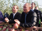 Владимир Путин похвалил ставропольские яблоки 