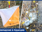 Захламили мусором и уничтожили деревья: ставрополец винит спортивную организацию в загрязнении Таманского леса