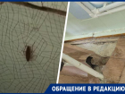 Кишащая тараканами и разваливающаяся больница на Ставрополье продолжает пугать пациентов 