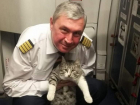 «Мой дружбан в Минводах»: пилот «Аэрофлота» подружился со ставропольским котом