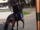 На конях в «Макдональдс» прискакали двое жителей КЧР в Пятигорске