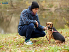 Сделай счастливым щенка — возьми друга из приюта в Ставрополе