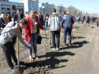 Собственные деревья высадили 1700 выпускников школ Ставрополя