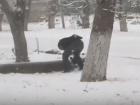 Предновогодний «кладоискатель» попал на видео в Пятигорске