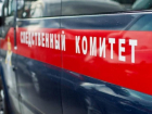 Следователи проведут проверку после инцидента на аттракционе в ставропольском парке