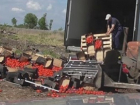 900 килограммов турецких томатов уничтожили в Пятигорске