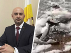 Власти подтвердили массовую гибель птиц на Дундинском водохранилище Ставрополья после публикации «Блокнота»