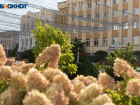 Солнечная суббота с 21-градусным теплом ожидается перед Пасхой в Ставрополе