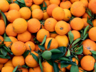 Почти 3 тысячи тонн импортных мандаринов привезут к Новому году на Ставрополье