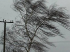 Сильные порывы ветра и гололед прогнозируют в пятницу на Ставрополье